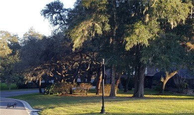 NEARING COMPLETION! ALMOST READY FOR OCCUPANCY! Don't miss this on Skyview At Terra Vista Golf and Country Club in Florida - for sale on GolfHomes.com, golf home, golf lot