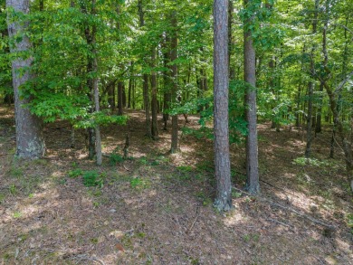 Here's an amazing opportunity to own a large lot - over 1.7 on Diamondhead Golf and Country Club in Arkansas - for sale on GolfHomes.com, golf home, golf lot