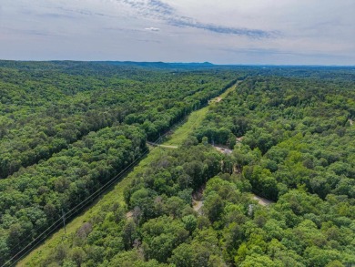 Here's an amazing opportunity to own a large lot - over 1.7 on Diamondhead Golf and Country Club in Arkansas - for sale on GolfHomes.com, golf home, golf lot