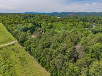 Here's an amazing opportunity to own a large lot - over 1.7 on Diamondhead Golf and Country Club in Arkansas - for sale on GolfHomes.com, golf home, golf lot
