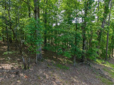 Here's an amazing opportunity to own a large lot - over 1.7 on Diamondhead Golf and Country Club in Arkansas - for sale on GolfHomes.com, golf home, golf lot