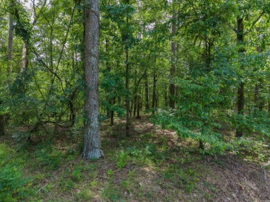 Here's an amazing opportunity to own a large lot - over 1.7 on Diamondhead Golf and Country Club in Arkansas - for sale on GolfHomes.com, golf home, golf lot