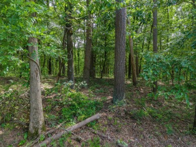 Here's an amazing opportunity to own a large lot - over 1.7 on Diamondhead Golf and Country Club in Arkansas - for sale on GolfHomes.com, golf home, golf lot