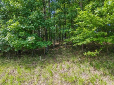 Here's an amazing opportunity to own a large lot - over 1.7 on Diamondhead Golf and Country Club in Arkansas - for sale on GolfHomes.com, golf home, golf lot