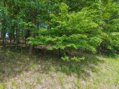 Here's an amazing opportunity to own a large lot - over 1.7 on Diamondhead Golf and Country Club in Arkansas - for sale on GolfHomes.com, golf home, golf lot
