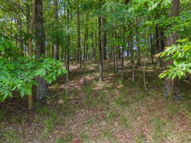 Here's an amazing opportunity to own a large lot - over 1.7 on Diamondhead Golf and Country Club in Arkansas - for sale on GolfHomes.com, golf home, golf lot