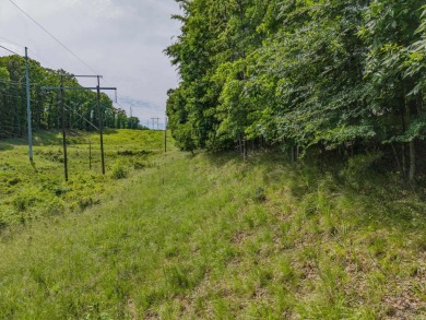 Here's an amazing opportunity to own a large lot - over 1.7 on Diamondhead Golf and Country Club in Arkansas - for sale on GolfHomes.com, golf home, golf lot