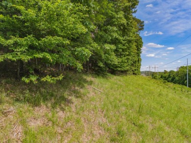 Here's an amazing opportunity to own a large lot - over 1.7 on Diamondhead Golf and Country Club in Arkansas - for sale on GolfHomes.com, golf home, golf lot