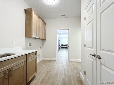 NOW AVAILABLE - Heritage's Newest Gem Be among the first to tour on Skyview At Terra Vista Golf and Country Club in Florida - for sale on GolfHomes.com, golf home, golf lot