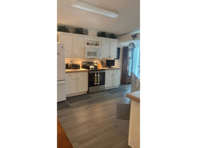 Spacious 3-Bedroom Palm Harbor with Golf Cart in 55+ on Sabal Springs Golf and Racquet Club in Florida - for sale on GolfHomes.com, golf home, golf lot