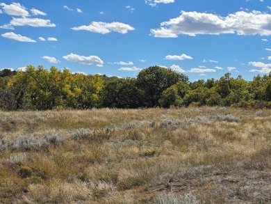 Escape to the foothills of Southern Colorado with this rare 1 on Hollydot Golf Course in Colorado - for sale on GolfHomes.com, golf home, golf lot