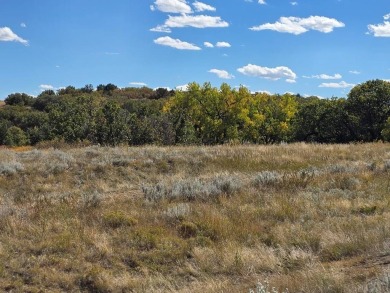 Escape to the foothills of Southern Colorado with this rare 1 on Hollydot Golf Course in Colorado - for sale on GolfHomes.com, golf home, golf lot