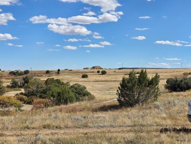 Escape to the foothills of Southern Colorado with this rare 1 on Hollydot Golf Course in Colorado - for sale on GolfHomes.com, golf home, golf lot