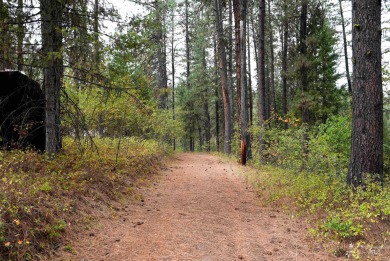 Among the serene wooded pines, this cozy, rustic cabin is a on Terrace Lakes Golf Resort in Idaho - for sale on GolfHomes.com, golf home, golf lot