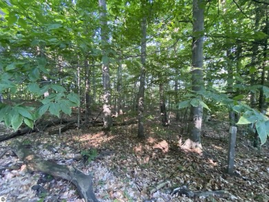 Surround yourself among nature and endless recreation on Sugar Loaf The Old Course in Michigan - for sale on GolfHomes.com, golf home, golf lot