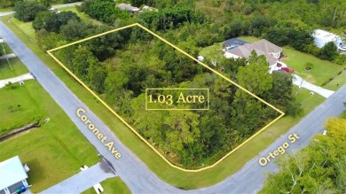 Build without the headache. This Corner Lot in Wedgefield on Wedgefield Golf Club in Florida - for sale on GolfHomes.com, golf home, golf lot