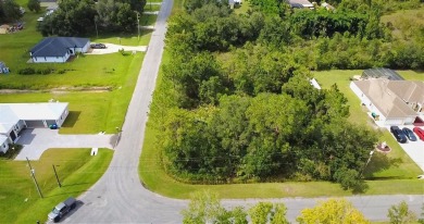 Build without the headache. This Corner Lot in Wedgefield on Wedgefield Golf Club in Florida - for sale on GolfHomes.com, golf home, golf lot