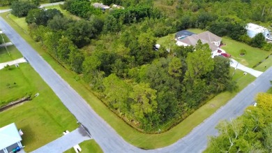Build without the headache. This Corner Lot in Wedgefield on Wedgefield Golf Club in Florida - for sale on GolfHomes.com, golf home, golf lot