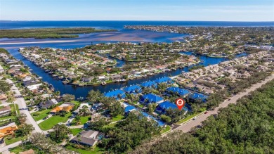 Discover this delightful 2 bedroom + den, 2.5 bath, 1 car on Mangrove Bay Golf Course in Florida - for sale on GolfHomes.com, golf home, golf lot