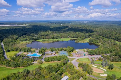 Discover the perfect blend of luxury, space, and opportunity in on Pocono Farms Country Club in Pennsylvania - for sale on GolfHomes.com, golf home, golf lot