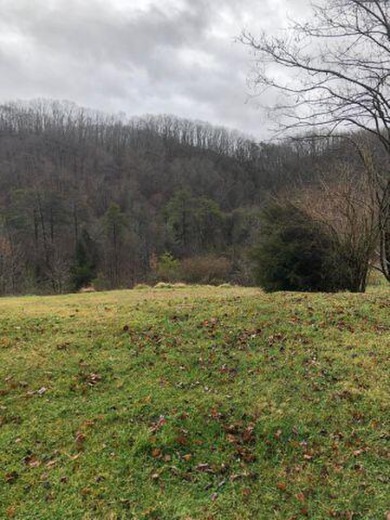 Here is the chance to build in the sought out area of Deer Trace on Country Club of Bristol in Tennessee - for sale on GolfHomes.com, golf home, golf lot