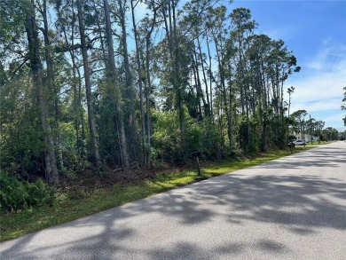 Ready to build your custom home in a growing area of North Port on Bobcat Trail Golf Club in Florida - for sale on GolfHomes.com, golf home, golf lot