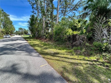 Ready to build your custom home in a growing area of North Port on Bobcat Trail Golf Club in Florida - for sale on GolfHomes.com, golf home, golf lot