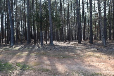 Room to Build, Freedom to Enjoy!  Welcome to 206 Compass Point on The Patriot Golf Club At Grand Harbor in South Carolina - for sale on GolfHomes.com, golf home, golf lot