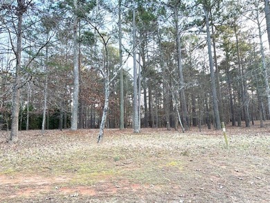 Are you looking for a large custom home site in Grand Harbor on The Patriot Golf Club At Grand Harbor in South Carolina - for sale on GolfHomes.com, golf home, golf lot