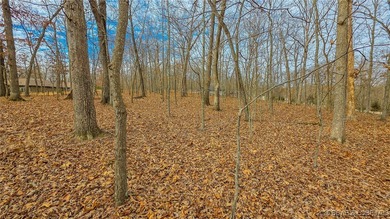 Build your dream home on this prime 0.37-acre lot located on the on The Club At Porto Cima in Missouri - for sale on GolfHomes.com, golf home, golf lot
