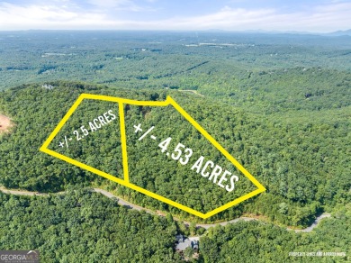 Discovering the Dream: Estate-Sized Lot in Habersham County on The Orchard Golf and Country Club in Georgia - for sale on GolfHomes.com, golf home, golf lot