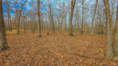 Build your dream home on this prime 0.37-acre lot located on the on The Club At Porto Cima in Missouri - for sale on GolfHomes.com, golf home, golf lot