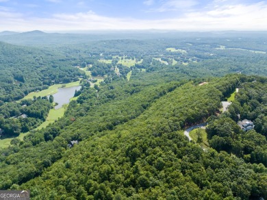 Discovering the Dream: Estate-Sized Lot in Habersham County on The Orchard Golf and Country Club in Georgia - for sale on GolfHomes.com, golf home, golf lot