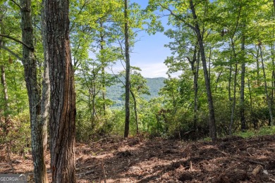 Discovering the Dream: Estate-Sized Lot in Habersham County on The Orchard Golf and Country Club in Georgia - for sale on GolfHomes.com, golf home, golf lot