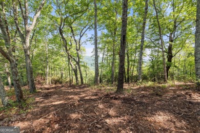 Discovering the Dream: Estate-Sized Lot in Habersham County on The Orchard Golf and Country Club in Georgia - for sale on GolfHomes.com, golf home, golf lot