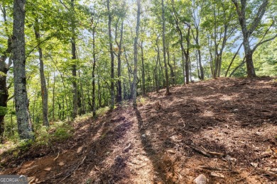 Discovering the Dream: Estate-Sized Lot in Habersham County on The Orchard Golf and Country Club in Georgia - for sale on GolfHomes.com, golf home, golf lot
