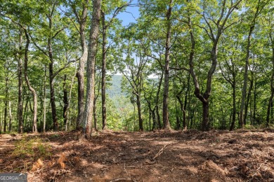 Discovering the Dream: Estate-Sized Lot in Habersham County on The Orchard Golf and Country Club in Georgia - for sale on GolfHomes.com, golf home, golf lot