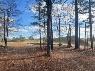 Build your dream home in Grand Harbor, a desirable lakefront on The Patriot Golf Club At Grand Harbor in South Carolina - for sale on GolfHomes.com, golf home, golf lot