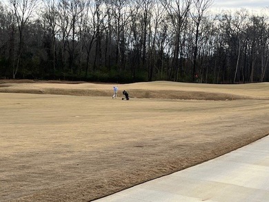 Gorgeous property, almost 1/2 acre! Build the home of your on The Links At Stoney Point in South Carolina - for sale on GolfHomes.com, golf home, golf lot