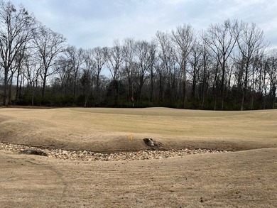 Gorgeous property, almost 1/2 acre! Build the home of your on The Links At Stoney Point in South Carolina - for sale on GolfHomes.com, golf home, golf lot