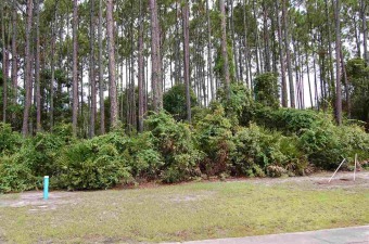 Own this lot on the beautiful St James Residential Golf course on St. James Bay in Florida - for sale on GolfHomes.com, golf home, golf lot
