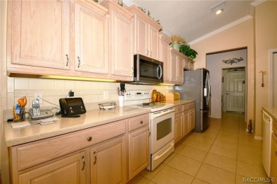IMMACULATE TERRA VISTA 3 BEDROOM, 2 BATH/2 CAR GARAGE *MAINTANCE on Skyview At Terra Vista Golf and Country Club in Florida - for sale on GolfHomes.com, golf home, golf lot