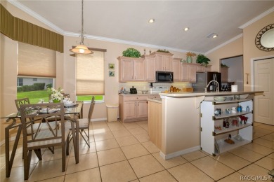 IMMACULATE TERRA VISTA 3 BEDROOM, 2 BATH/2 CAR GARAGE *MAINTANCE on Skyview At Terra Vista Golf and Country Club in Florida - for sale on GolfHomes.com, golf home, golf lot