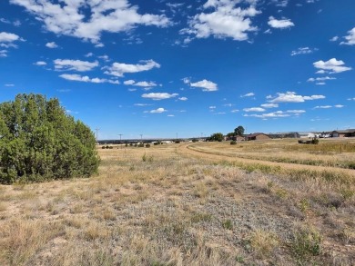 This flat, double building lot on Trinchera Drive in Colorado on Hollydot Golf Course in Colorado - for sale on GolfHomes.com, golf home, golf lot