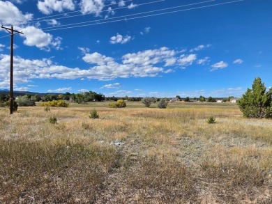 This flat, double building lot on Trinchera Drive in Colorado on Hollydot Golf Course in Colorado - for sale on GolfHomes.com, golf home, golf lot