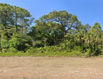 *Clear title and lien search attached-quick close is available* on Mirror Lakes Golf Club in Florida - for sale on GolfHomes.com, golf home, golf lot