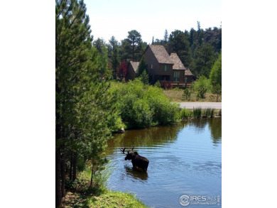 Welcome to *Your Mountain Retreat* in gated Fox Acres Mountain on Fox Acres Country Club in Colorado - for sale on GolfHomes.com, golf home, golf lot