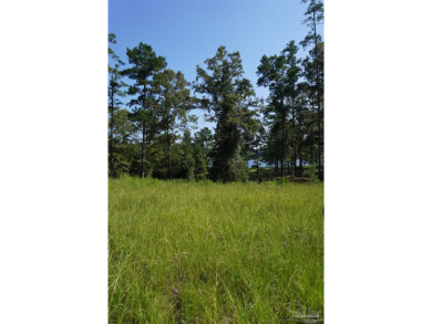 Build your home on this waterfront lot with stunning Lake on Country Club of Brewton in Alabama - for sale on GolfHomes.com, golf home, golf lot