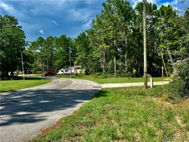 Welcome to Sugarmill Woods, Cypress Village. Nestled in a quiet on Sugarmill Woods Golf and Country Club in Florida - for sale on GolfHomes.com, golf home, golf lot