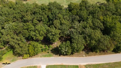 WHERE EVERY SEASON IS BEAUTIFUL! Here is your OPPORTUNITY to own on The Course At Eagle Mountain in Arkansas - for sale on GolfHomes.com, golf home, golf lot